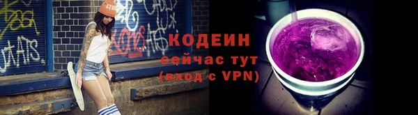 дурь Вяземский