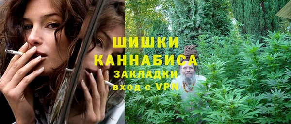 дурь Вяземский
