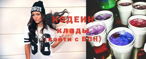 дурь Вяземский