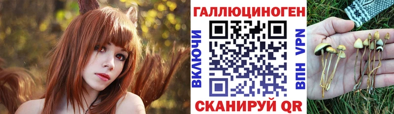 Псилоцибиновые грибы GOLDEN TEACHER  Лаишево 
